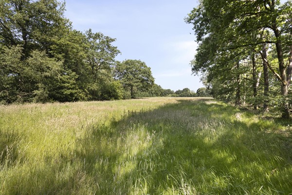 Medium property photo - Stramproyergrensweg 60, 6006 RX Weert