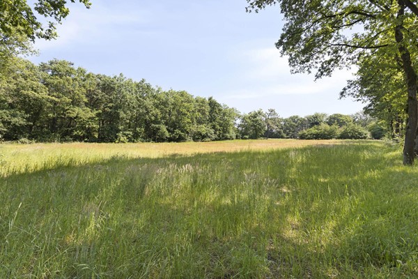 Medium property photo - Stramproyergrensweg 60, 6006 RX Weert