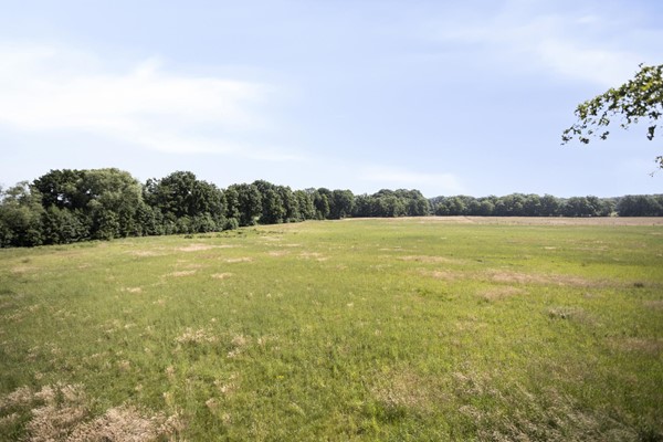 Medium property photo - Stramproyergrensweg 60, 6006 RX Weert