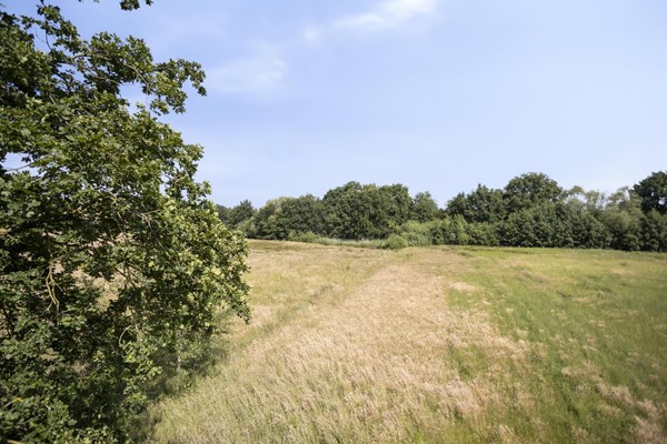 Medium property photo - Stramproyergrensweg 60, 6006 RX Weert