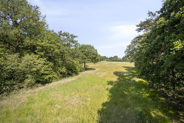 Medium property photo - Stramproyergrensweg 60, 6006 RX Weert