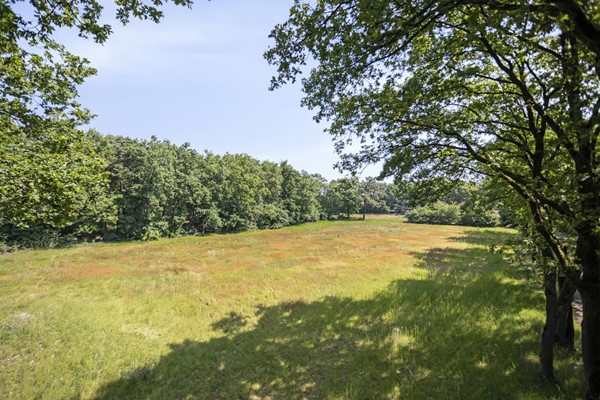 Medium property photo - Stramproyergrensweg 60, 6006 RX Weert