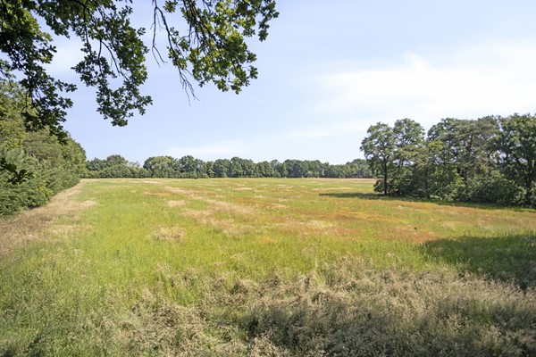 Medium property photo - Stramproyergrensweg 60, 6006 RX Weert