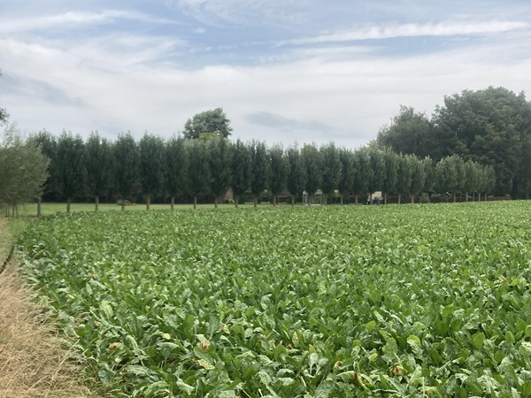 Medium property photo - Breetse Peelweg, 5993 NC Maasbree