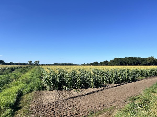 Medium property photo - Beemdweg, 5809 GA Leunen