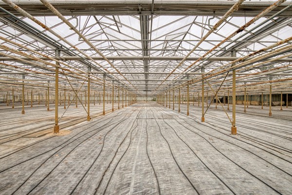 Medium property photo - Hoverhofweg 181, 5926 RC Venlo