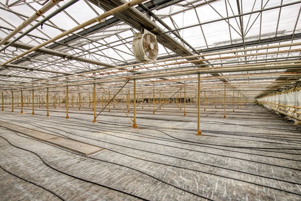 Medium property photo - Hoverhofweg 181, 5926 RC Venlo