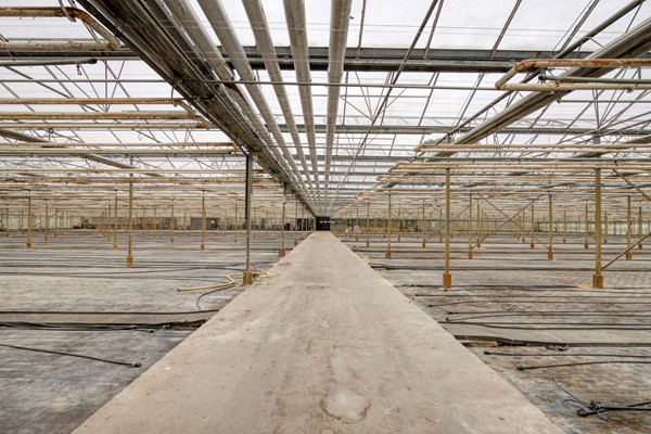 Medium property photo - Hoverhofweg 181, 5926 RC Venlo