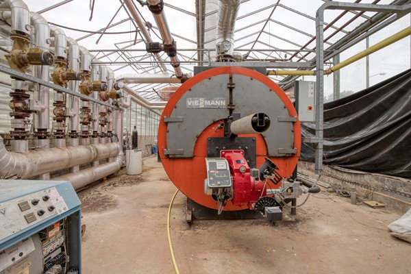 Medium property photo - Hoverhofweg 181, 5926 RC Venlo