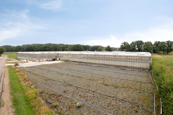 Medium property photo - Hoverhofweg 181, 5926 RC Venlo