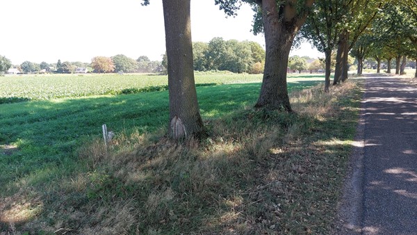 Medium property photo - Janslust, 5812 AT Heide