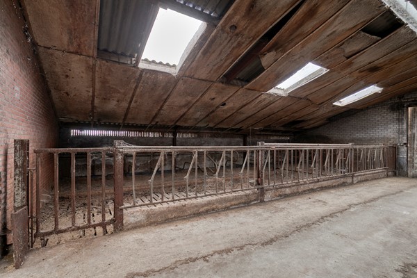 Medium property photo - Walsbergseweg 40, 5752 PA Deurne