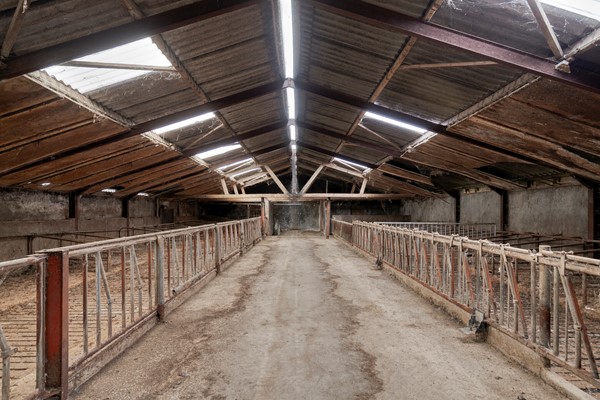 Medium property photo - Walsbergseweg 40, 5752 PA Deurne