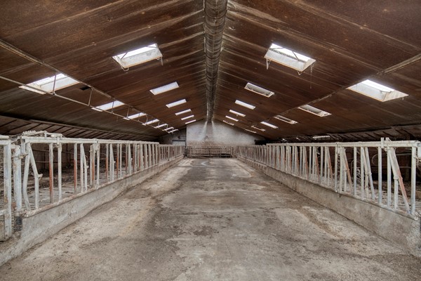 Medium property photo - Walsbergseweg 40, 5752 PA Deurne