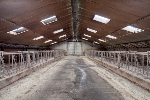 Medium property photo - Walsbergseweg 40, 5752 PA Deurne