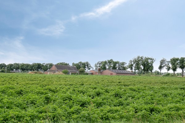 Medium property photo - Walsbergseweg 40, 5752 PA Deurne