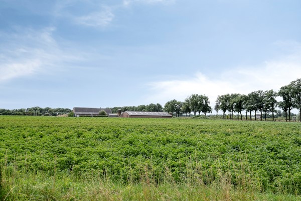 Medium property photo - Walsbergseweg 40, 5752 PA Deurne