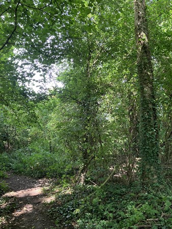 Medium property photo - Bokkerijdersvoetpad, 6243 AG Geulle