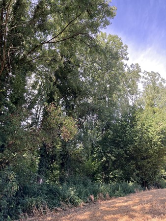 Medium property photo - Bokkerijdersvoetpad, 6243 AG Geulle