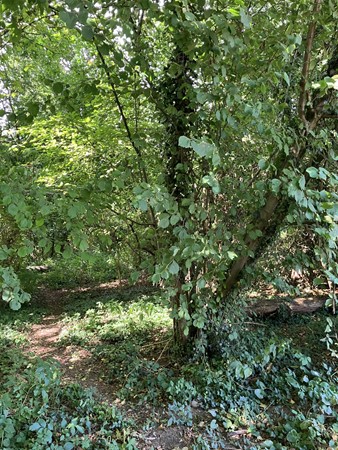 Medium property photo - Bokkerijdersvoetpad, 6243 AG Geulle