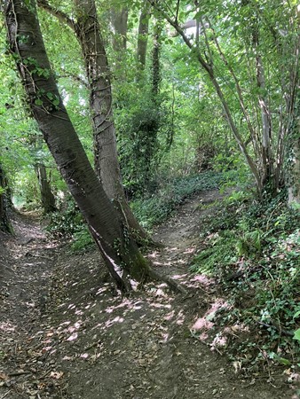 Medium property photo - Bokkerijdersvoetpad, 6243 AG Geulle