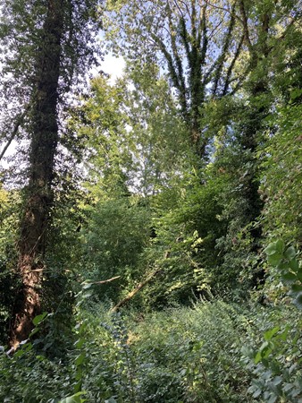 Medium property photo - Bokkerijdersvoetpad, 6243 AG Geulle