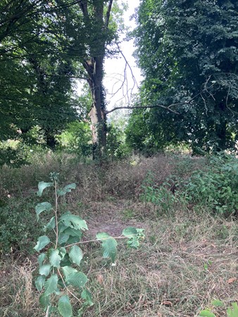 Medium property photo - Eijkskensweg, 6243 AA Geulle