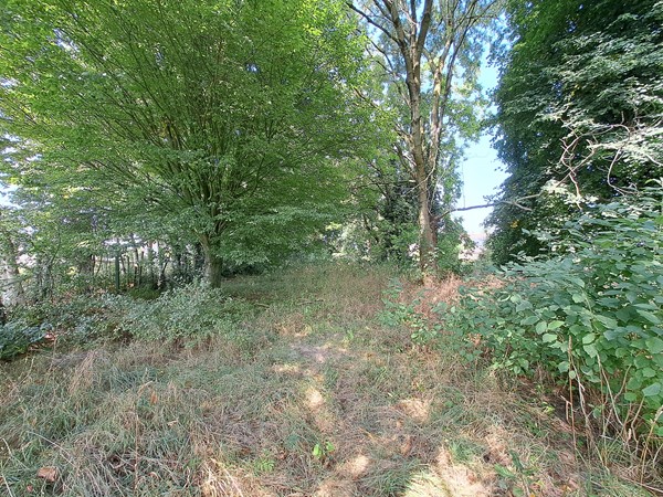 Medium property photo - Eijkskensweg, 6243 AA Geulle