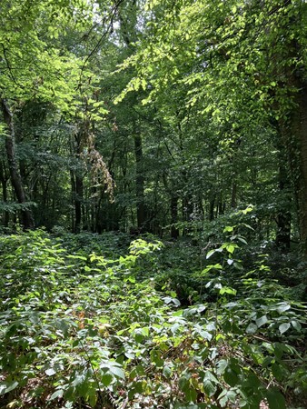 Medium property photo - Hazenvoetpad, 6243 EC Moorveld