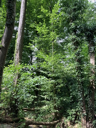 Medium property photo - Oostbroekvoetpad, 6243 CA Geulle