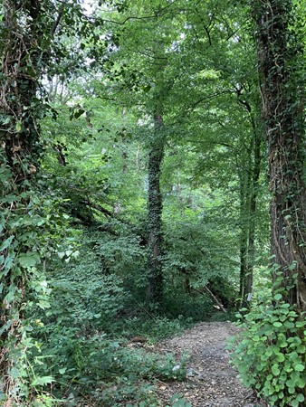 Medium property photo - Oostbroekvoetpad, 6243 CA Geulle