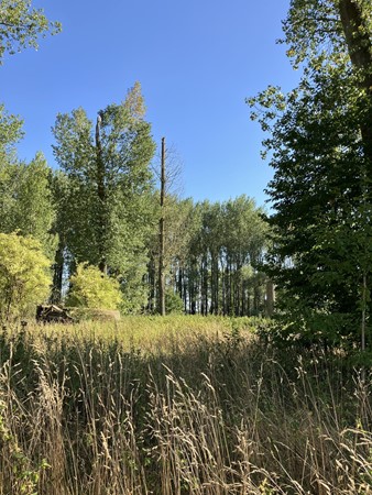 Medium property photo - Bondersweg, 6063 BC Vlodrop