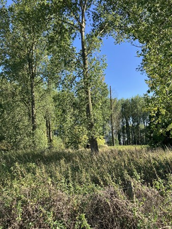 Medium property photo - Bondersweg, 6063 BC Vlodrop