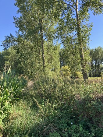 Medium property photo - Bondersweg, 6063 BC Vlodrop