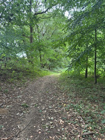 Medium property photo - Loijeweg, 6071 NW Swalmen