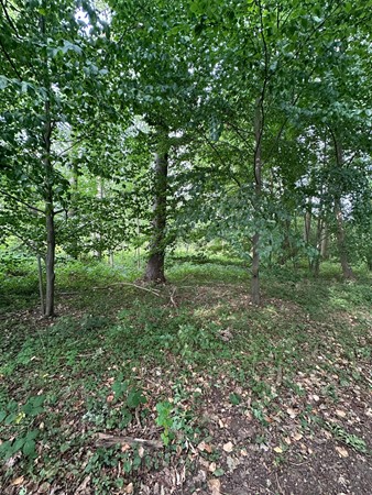 Medium property photo - Loijeweg, 6071 NW Swalmen