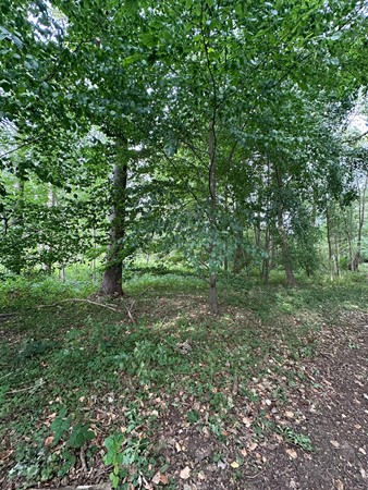 Medium property photo - Loijeweg, 6071 NW Swalmen