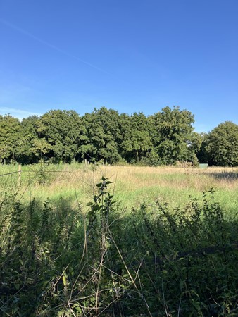 Medium property photo - Smeelenbergerpad, 6074 DR Melick