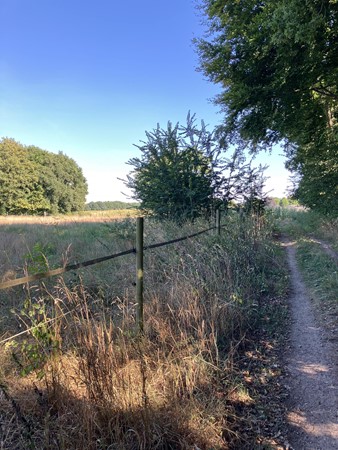 Medium property photo - Smeelenbergerpad, 6074 DR Melick