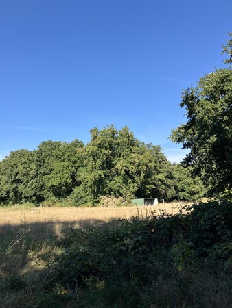 Medium property photo - Smeelenbergerpad, 6074 DR Melick