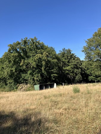 Medium property photo - Smeelenbergerpad, 6074 DR Melick