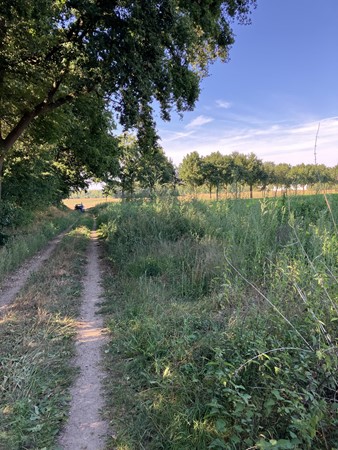 Medium property photo - Smeelenbergerpad, 6074 DR Melick