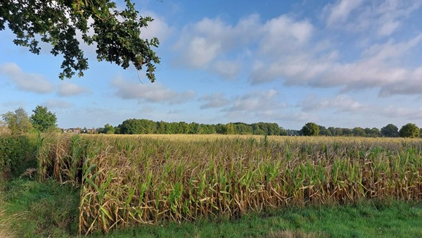 Medium property photo - Wanssumseweg, 5807 EA Oostrum