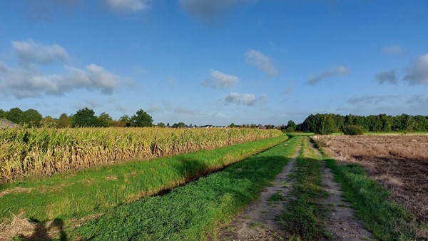 Medium property photo - Wanssumseweg, 5807 EA Oostrum