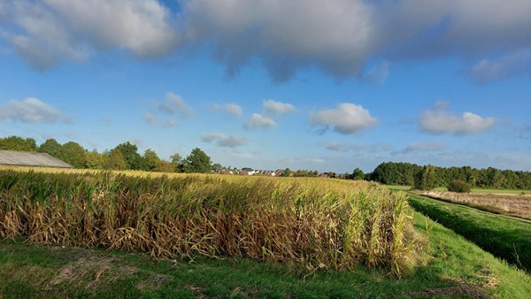 Medium property photo - Wanssumseweg, 5807 EA Oostrum