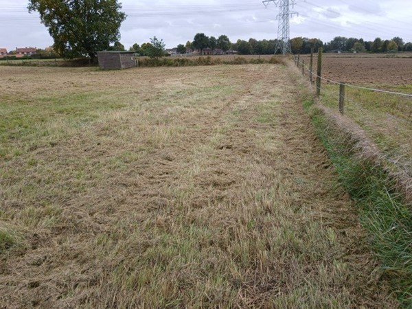 Medium property photo - Molenweg, 6082 NB Buggenum