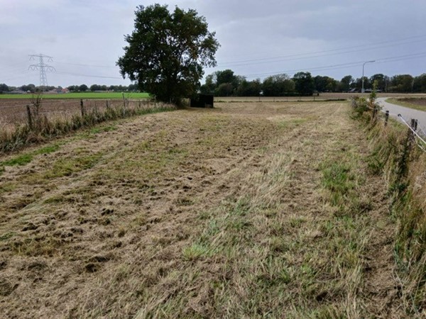 Medium property photo - Molenweg, 6082 NB Buggenum