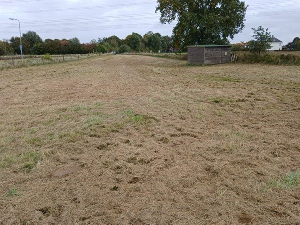 Medium property photo - Molenweg, 6082 NB Buggenum