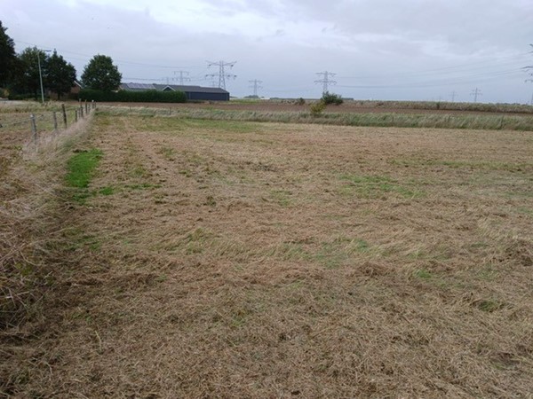 Medium property photo - Molenweg, 6082 NB Buggenum