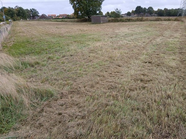 Medium property photo - Molenweg, 6082 NB Buggenum